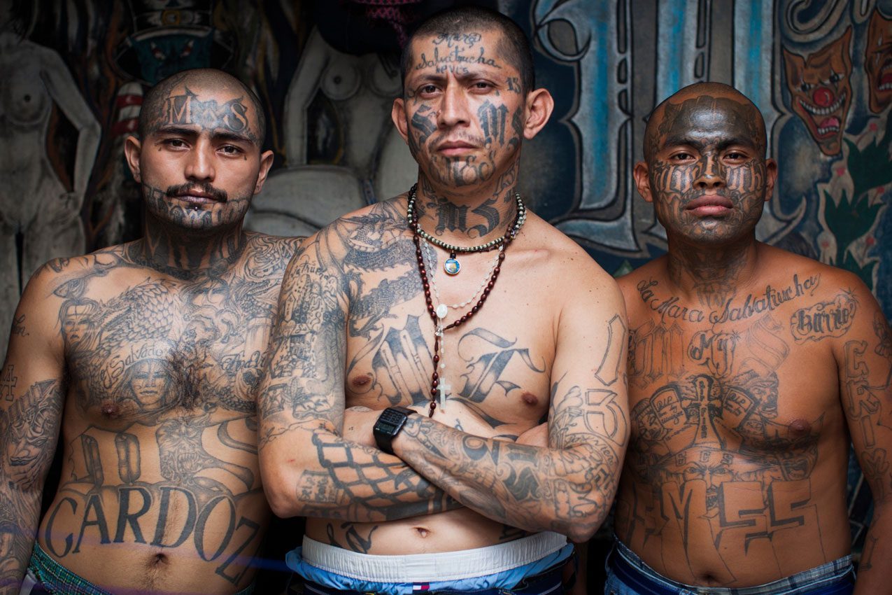 ms13-2.jpg