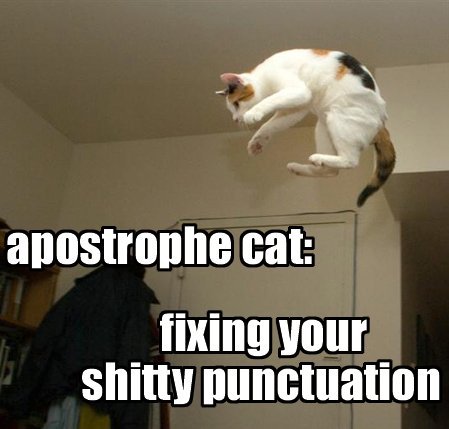 apostrophecat.jpg