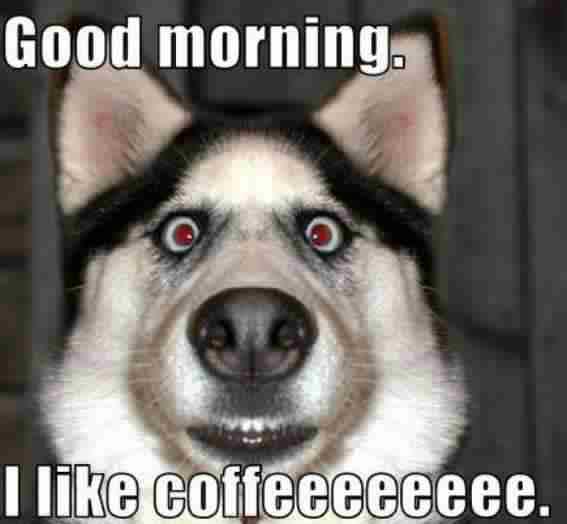 I+LIKE+COFFEE.jpg