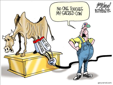 sacred+cows.jpg