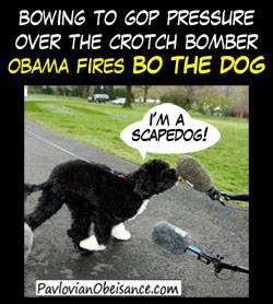 scape-dog.jpg