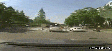 HWlEaw5.gif
