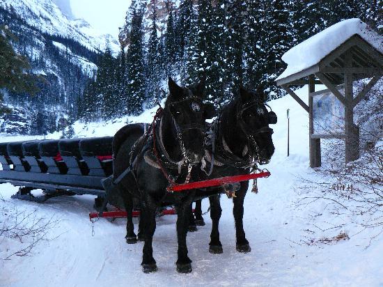 sleigh-ride.jpg