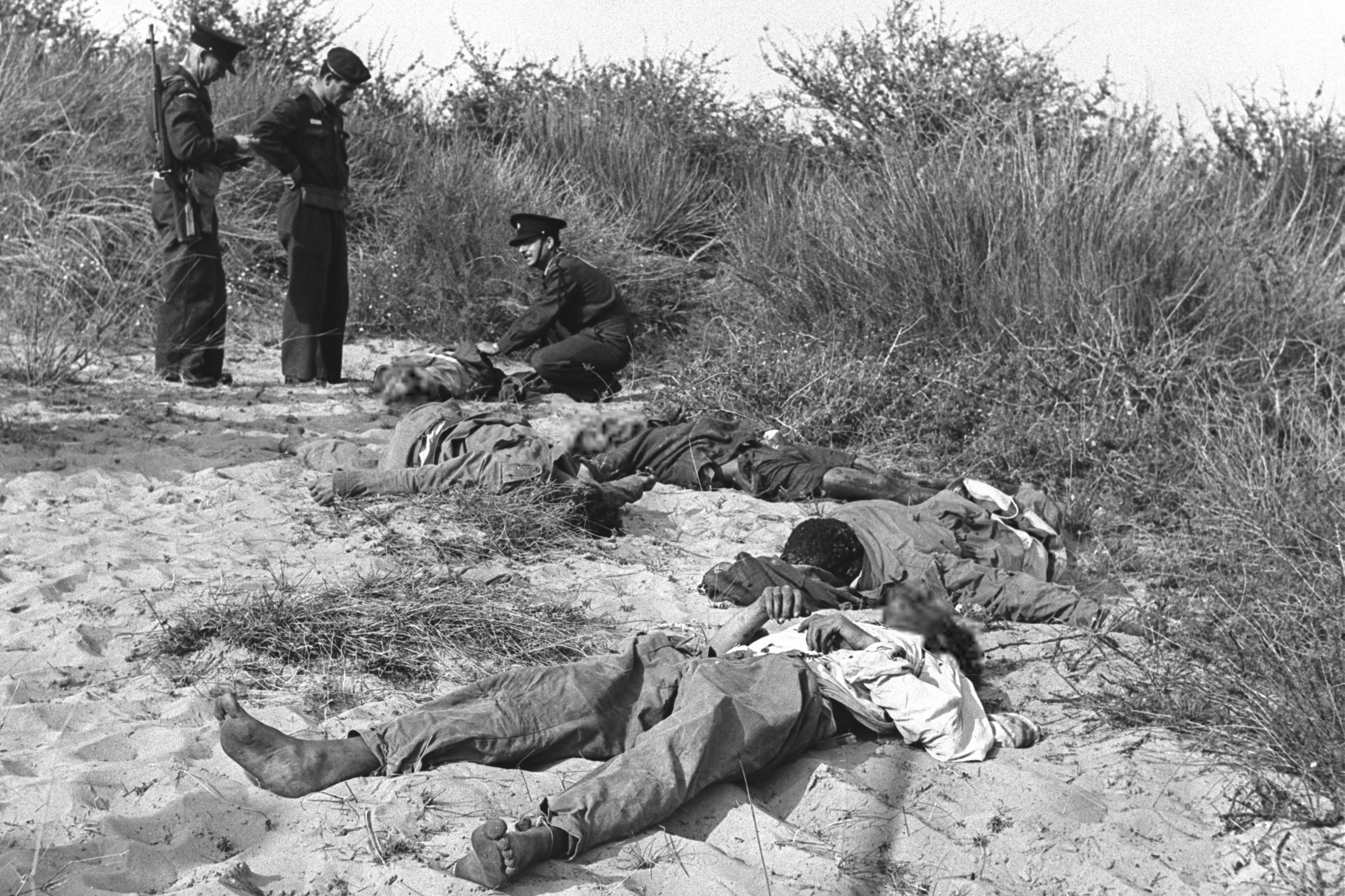 Fedayeen_1956.jpg