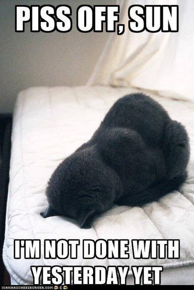 0Pb9jHtySqYAl20pHKVZ5Dl72eJkfbmt4t8yenImKBVaiQDB_Rd1H6kmuBWtceBJ