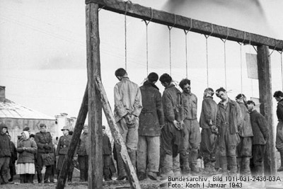 hanging.jpg