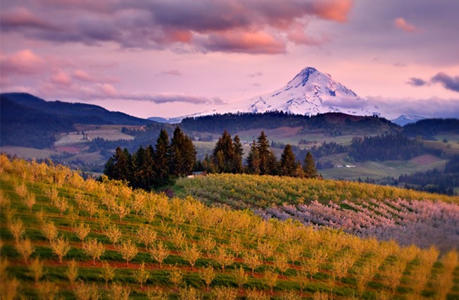 willamette-valley-oregon.jpg