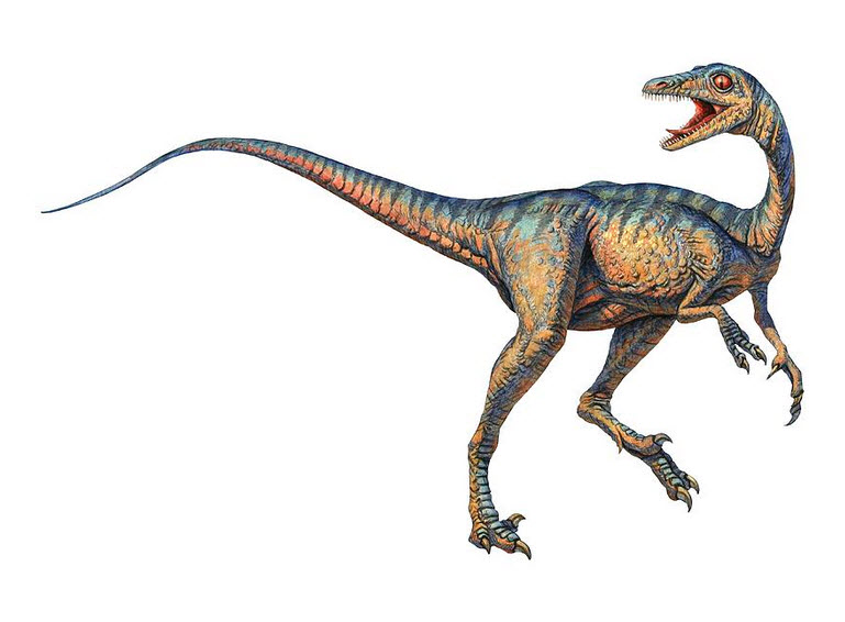 Troodon.jpg