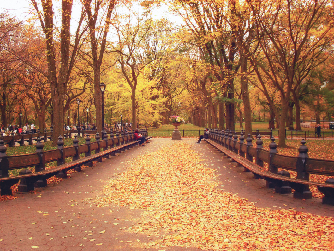 tumblr_ls1mpoKfLf1qdeuyro1_r2_1280.jpg