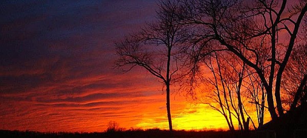 sunset_with_tree_l.jpg