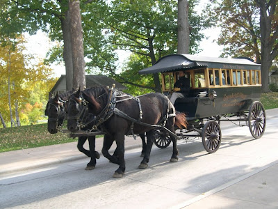Omnibus+%232+000.jpg