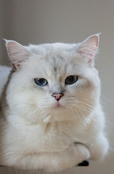 a45e05a4086597a93d6aa5a0fe6fc20f.jpg