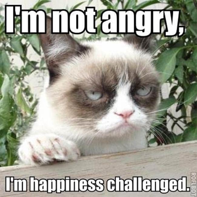 grumpy-cat%20(7).jpg