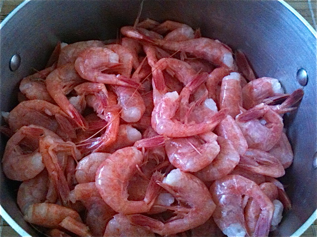 blog-shrimp.jpg
