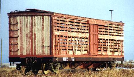 cattle01.jpg