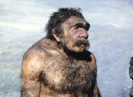 n-NEANDERTHAL-large.jpg