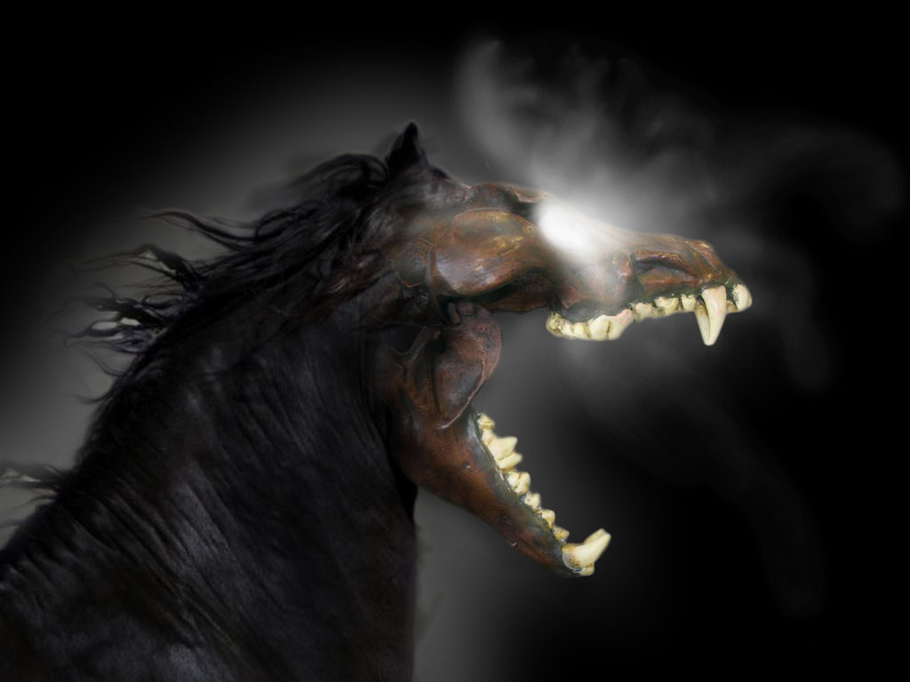 e2211d7efa9eb2087f6ad4424d1eb6a2-d3db62u.jpg