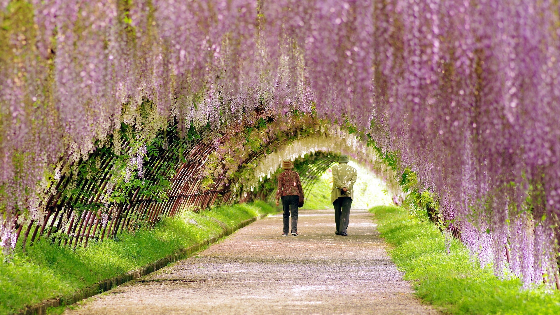 wonderful-spring-garden-255526.jpg