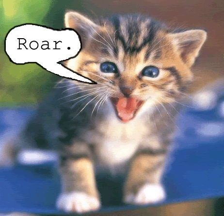 AngryKittenRoar.gif
