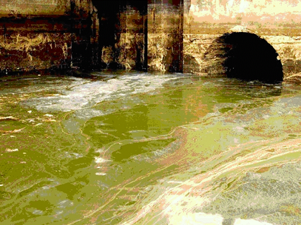 Sewer%20Water.gif