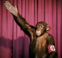 pledge_of_allegiance_trained_monkey.jpg