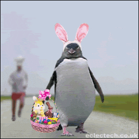 easter-humor-animated-gif-penguin-dressed-as-bunny.gif