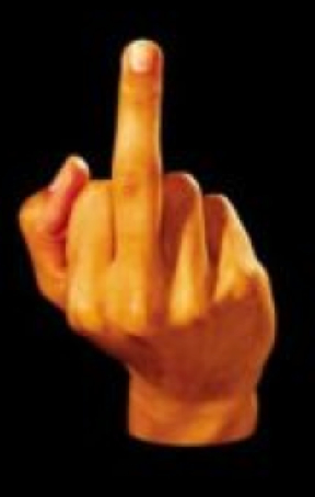 flip-the-bird1.jpg
