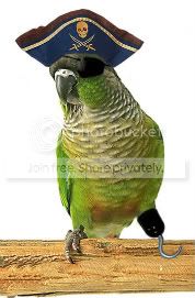 PirateParrot.jpg