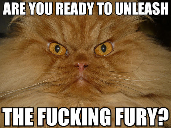 unleash_the_fury.jpg