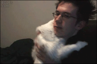 tumblr_ncphbgQ3wh1toxnu4o1_400.gif
