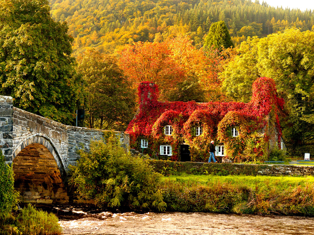 Autumn-in-Wales-United-Kingdom.jpg
