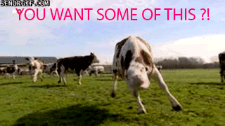 1055geg.gif