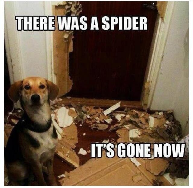 spider-slayer.jpg