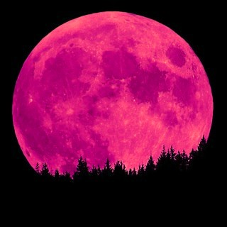 Pink-Moon.jpg