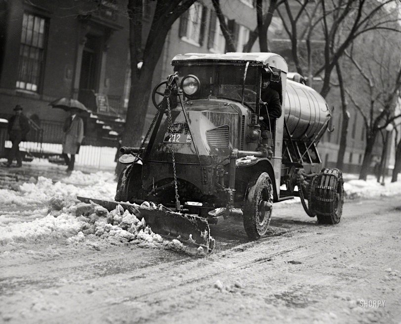 SHORPY-05800u.preview.jpg