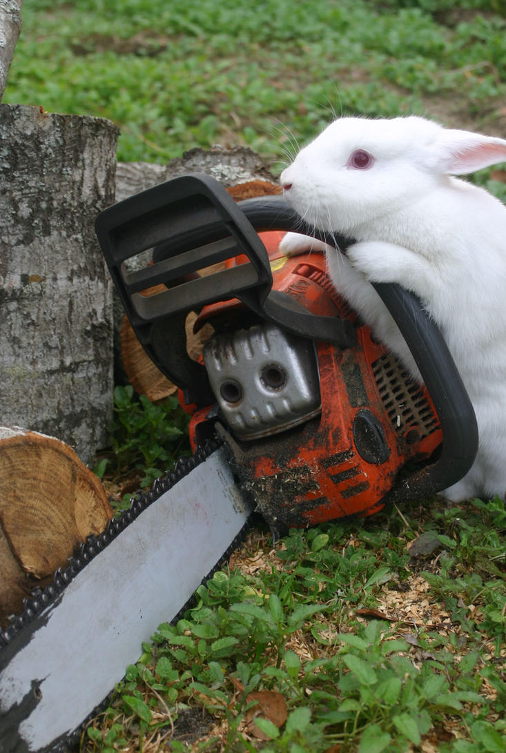 chainsaw_bunny_by_dead_raccoons-d5rh0sd.jpg