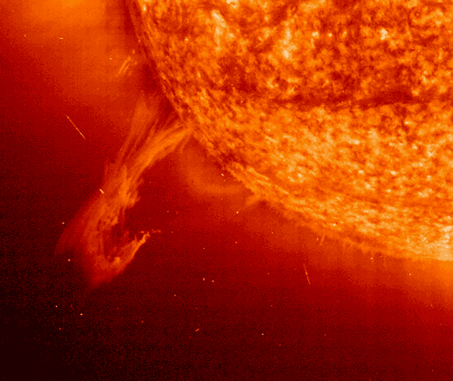 proanim3_soho_640.gif