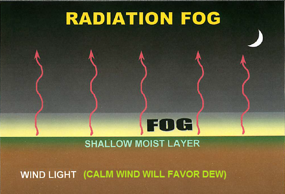 radiation_fog.png