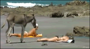 qpqYLF8.gif