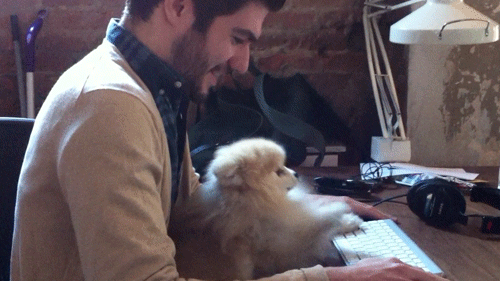 G4nVIlA.gif