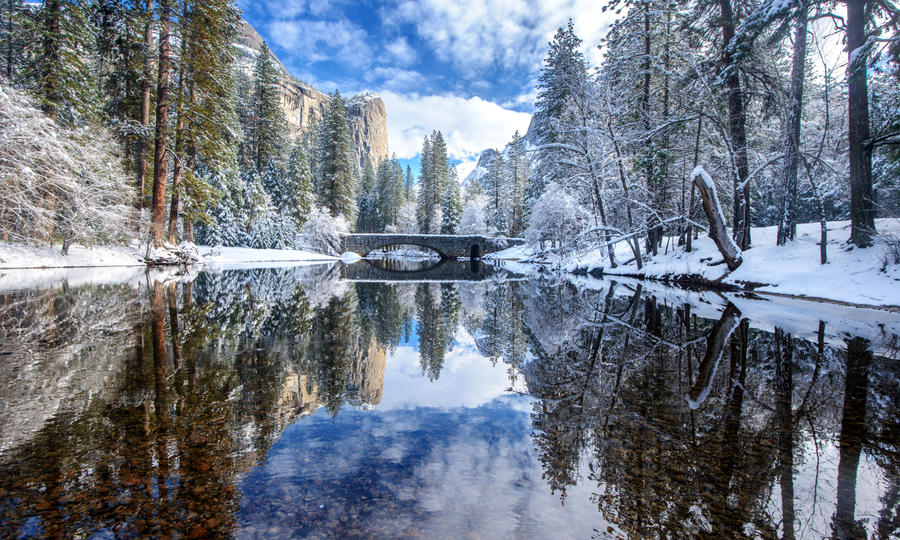 winter_wonderland_by_porbital-d5qx9lp.jpg