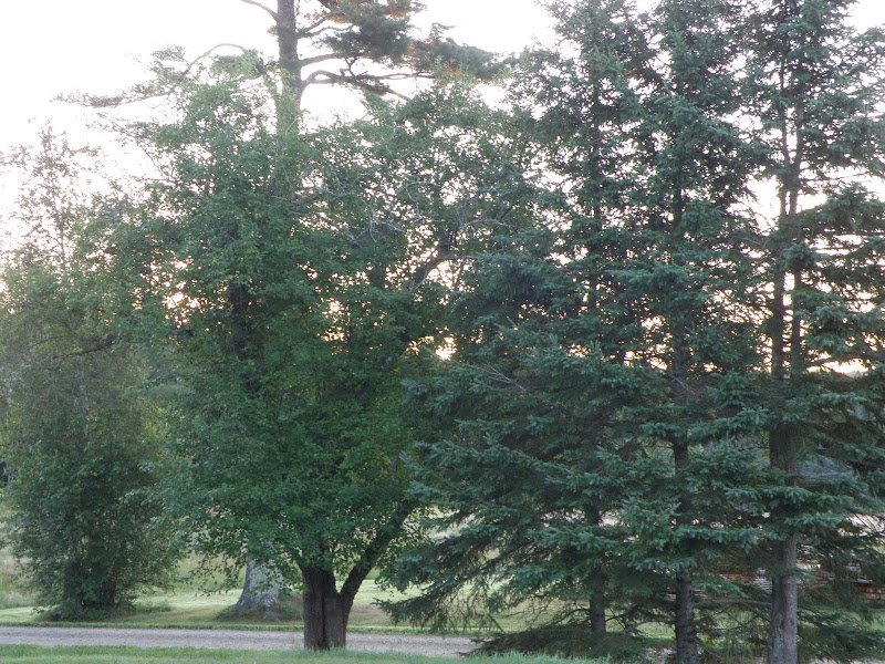 P7264985.JPG