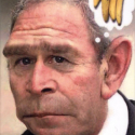 thumbs_bushchimp-3.jpg