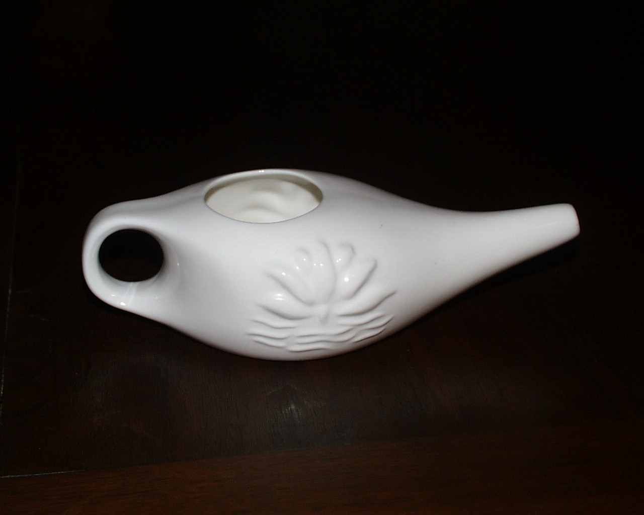 Neti_pot.jpg