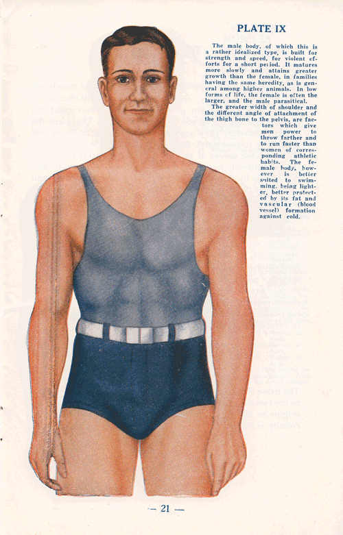 humanbody_male1.gif