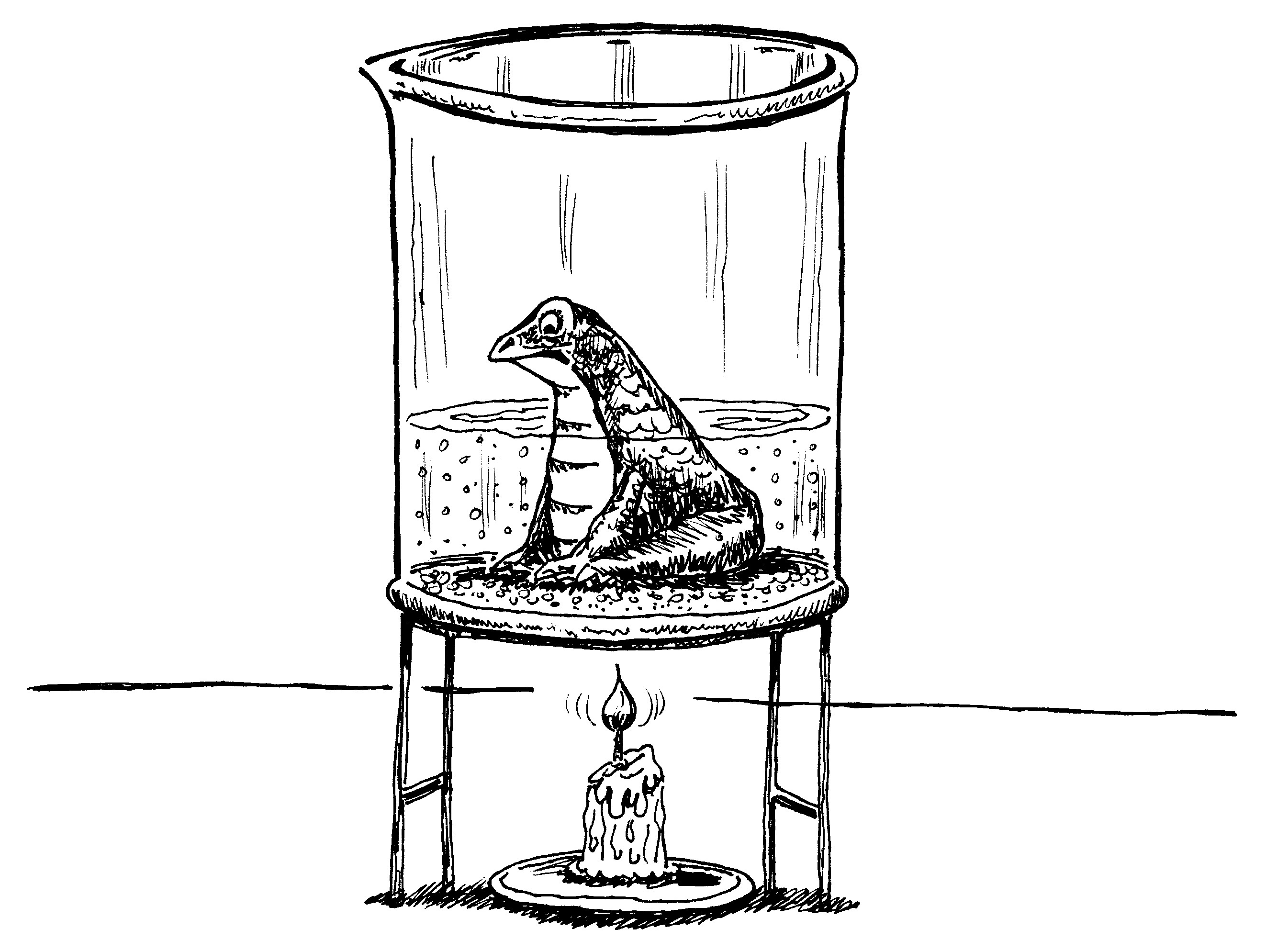 frog-heat-beaker.jpg