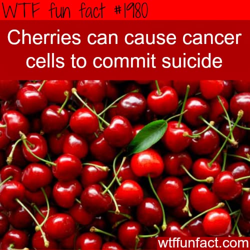1f14b1c8edfc8bb79f60e0fc506c14ec.jpg