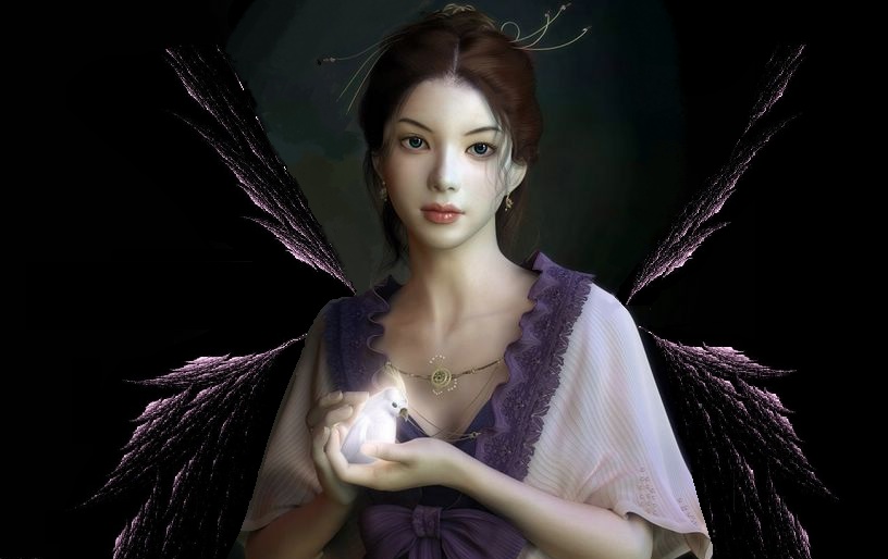 Pretty-fairy-fairys-25152132-816-514.jpg