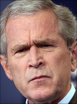 confused-george-bush.jpg