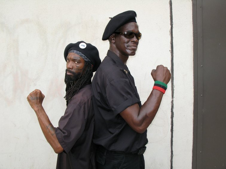 new_black_panthers.jpg